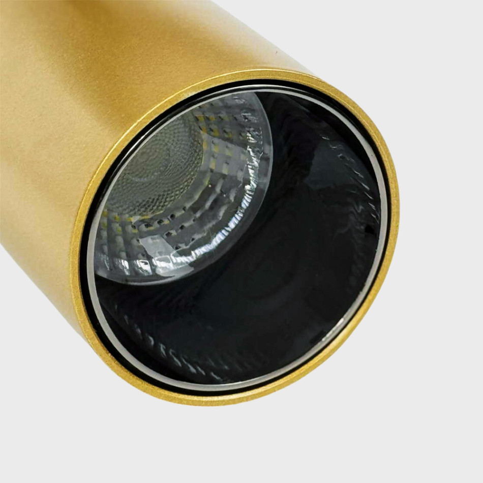 Трековий світильник RAYFOR MT   Nano Focus 12 золотий 12W 1020Lm 30-40-50К 48V WiFi